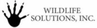 Saraland Wildlife Removal